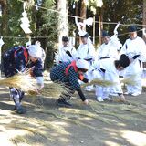 昔ながらの稲作再現　足利で伝統の「御田植祭」　秋の豊作祈る