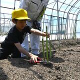 那須塩原・箒根学園の児童がアスパラの収穫体験 はさみで丁寧にカット 食の大切さ学ぶ