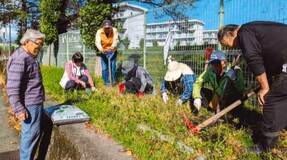 愛好家らがボタン植栽