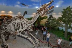 中国が世界的な専門知識を活用し、世界クラスの恐竜ジオパークを建設