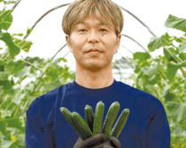 ＜227＞ 年間を通じておいしいキュウリを　JAおやまの「キュウリ」
