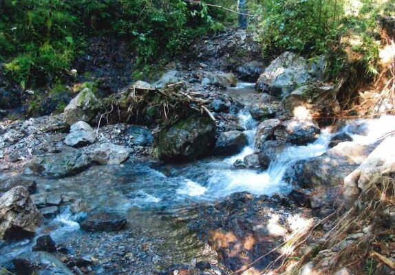 水かさが増し、林地残材などが散らばる登山道＝１８日午前９時、鹿沼市上久我（鹿沼市スポーツ協会山岳連盟提供）