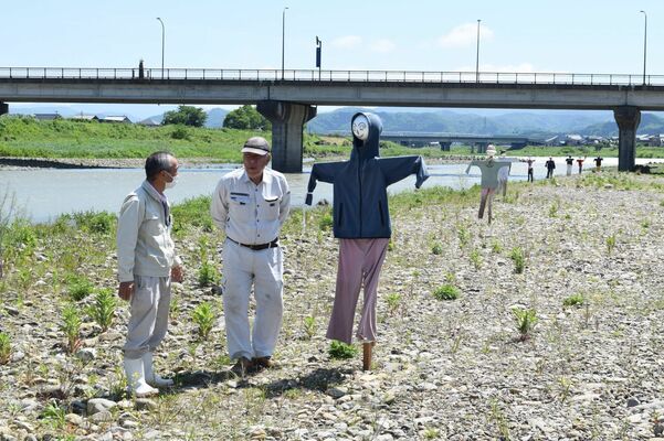 日野川河川敷に立ち並ぶかかしと日野川漁協の佐々木副組合長（左）ら＝福井県越前市松森町