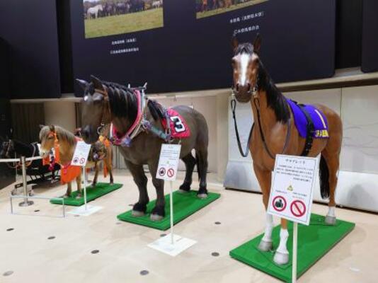 　ＪＲＡ競馬博物館の展示＝東京都府中市
