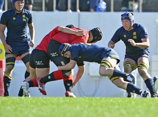 後半29分、タックルで相手の攻撃を食い止める国学栃木のフッカー斎藤（中央）＝大阪府東大阪市の花園ラグビー場、広瀬華撮影