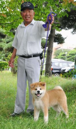 　秋田犬「ゆめ」と畠山正二さん＝２０１２年７月、秋田市