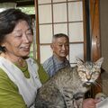 栃木県壬生町の猫「はじ」は推定25歳　人間なら110歳超　長寿で悟り？飼い主の膝上でお経聞くのが習慣