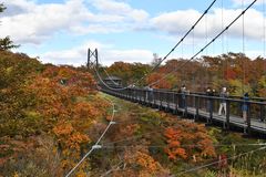 つつじ吊り橋紅葉見頃　那須
