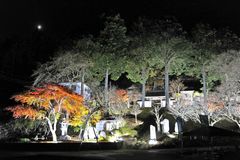 小来川、ライトアップの試験点灯