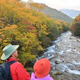 駆け足の秋、名瀑染める　奥日光の竜頭の滝で紅葉見頃