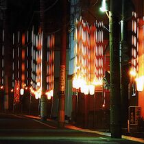 第30回下野新聞紙上写真コンテストー選外佳作ー