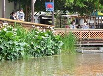 栃木県内各地で夏日