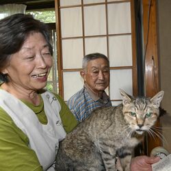 栃木県壬生町の猫「はじ」は推定25歳　人間なら110歳超　長寿で悟り？飼い主の膝上でお経聞くのが習慣