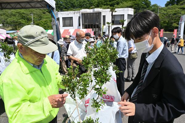 苗木を配る鹿沼南高の生徒（右）ら