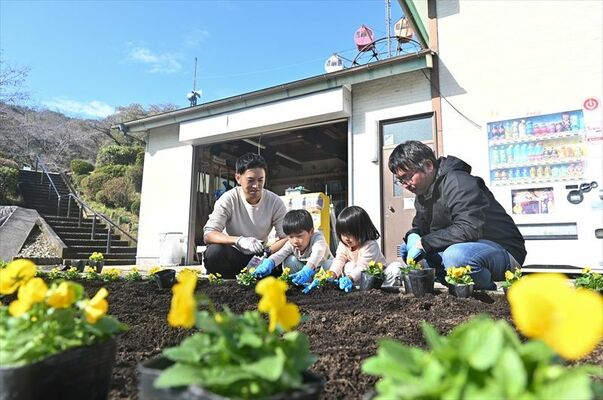 黄色のビオラの苗を植える参加者ら