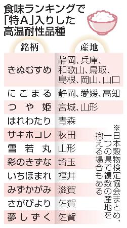 　食味ランキングで「特Ａ」入りした高温耐性品種