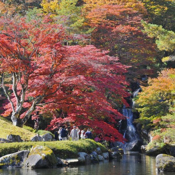 色づく庭園、秋深まる 鹿沼・古峯神社で紅葉見頃 今月中旬頃まで｜県内