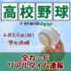 春季栃木県高校野球準々決勝　作新vs青藍は昨夏決勝と同カード、佐野日大は昨夏敗れた古豪と激突《全試合イニング速報》
