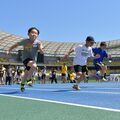 カンスタで全速力　宇都宮の短距離走イベントに150人　恐竜の着ぐるみやスーツ姿も