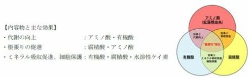 気候変動下の栽培環境に応える農業資材　タキイ種苗　初のオリジナルBS資…