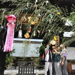 笹飾り、市街地に涼演出　日光で「今市の七夕まつり」開幕