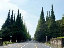 【ぷらっとＴＯＫＹＯ】緑豊かで和める美の発信地　青山、ギャラリーや並木道