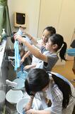 育てた藍使い 生葉染め挑戦