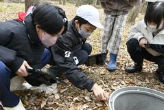 森の生物 多様性に驚き