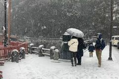 栃木県内、警報級の大雪の恐れなくなる　北部では大雪や交通障害、雪崩に注意