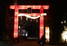 飛躍願う真っ赤な光