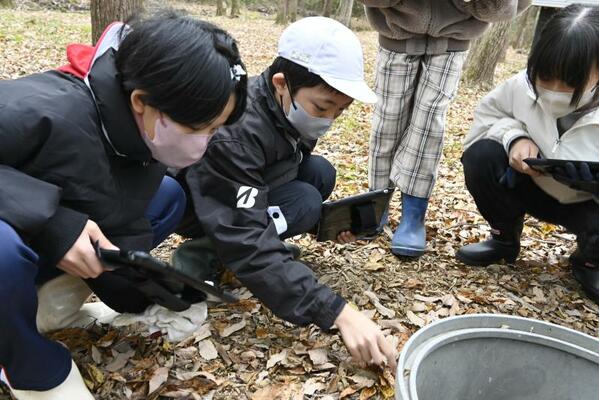 落ち葉をめくって生き物を探す児童