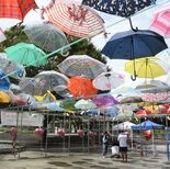 感謝の思い託して 真岡でアンブレラスカイ 廃棄の150本広げてつるす