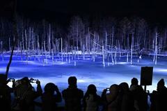 暗闇に浮かぶ雪化粧の池