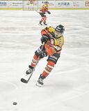 【夕刊】バックス、東北に勝利し3連勝