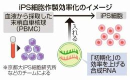血液からｉＰＳ細胞