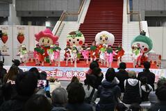 マルシェ、収穫体験堪能