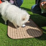 那須ハイで犬が主役の謎解きゲーム　愛犬との夏休み満喫を