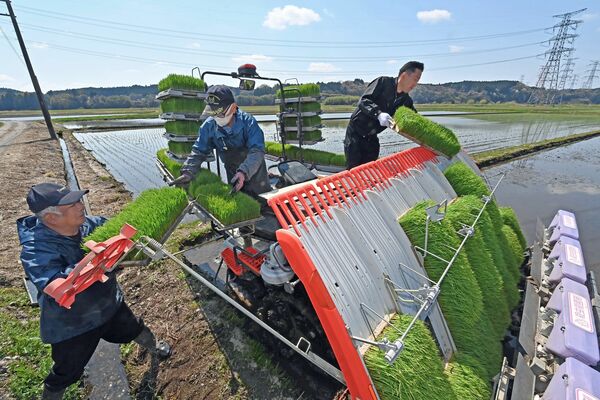 穏やかな陽気の下、一足早く始まった田植え＝３日午前10時45分、大田原市滝岡