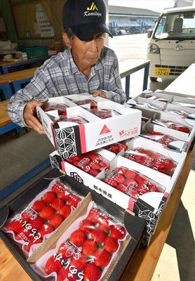 県内初出荷となったイチゴ「とちあいか」＝５日午後３時５分、鹿沼市奈佐原町