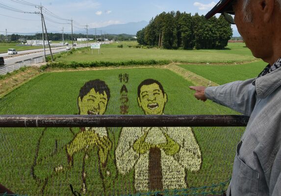 完成した田んぼアートと中野さん