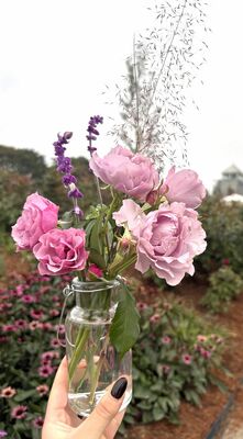 花摘み体験で摘んだバラなど