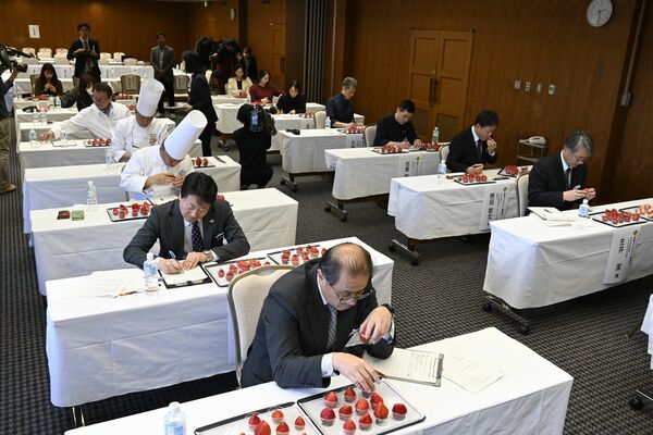 出品されたとちあいかを審査する審査員＝13日午後、宇都宮市