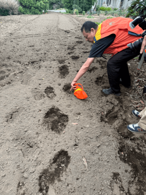 宇都宮市内で発見されたクマのものとみられる足跡=7日午後