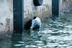 船舶の接岸・係留を支える緩衝材 DUNLOP初のフォーム式防舷材を高耐…