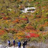 青空の下、赤や黄色に色づく木々　那須・姥ケ平で紅葉始まる