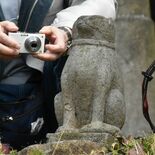 “猫”を巡る旅　石碑や石像、栃木県北３市町に８基