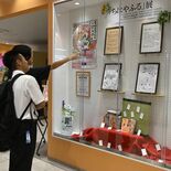 競技かるたをPR　宇都宮で「ちはやふる展」　市内３カ所で順次開催