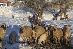 足止めよーもう