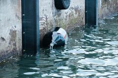 船舶の接岸・係留を支える緩衝材 DUNLOP初のフォーム式防舷材を高耐久設計で国内生産・発売