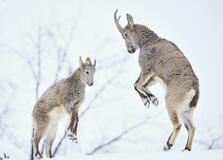 年闘のあいさつ